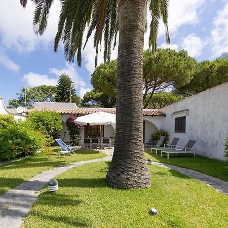 Villetta Con Giardino Esclusivo Di 1000 Mq, Piscina, Tennis, Calcio, Bocce Forio di Ischia Eksteriør bilde