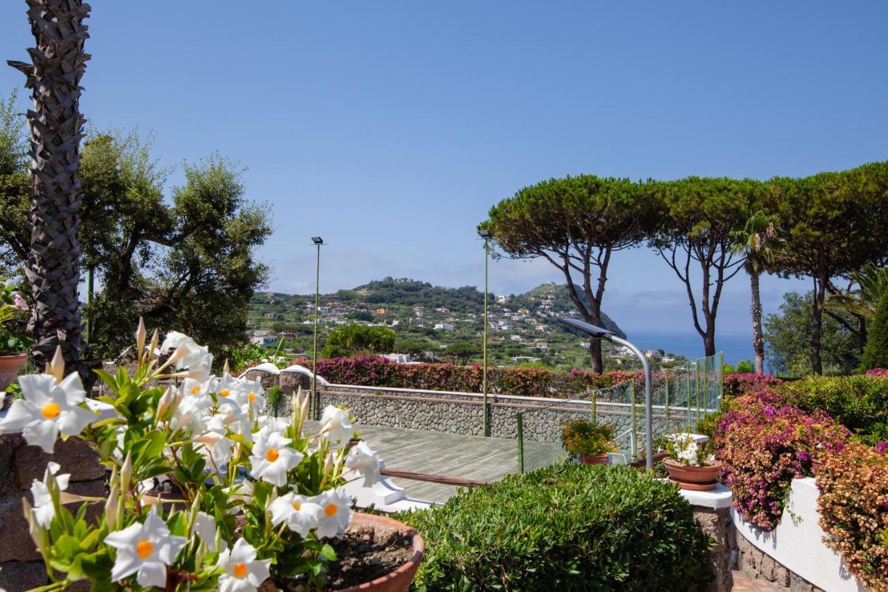 Villetta Con Giardino Esclusivo Di 1000 Mq, Piscina, Tennis, Calcio, Bocce Forio di Ischia Eksteriør bilde