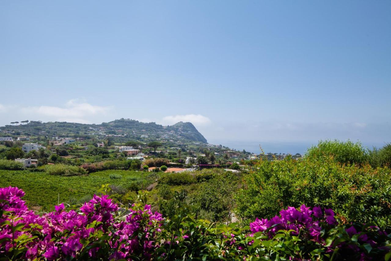 Villetta Con Giardino Esclusivo Di 1000 Mq, Piscina, Tennis, Calcio, Bocce Forio di Ischia Eksteriør bilde