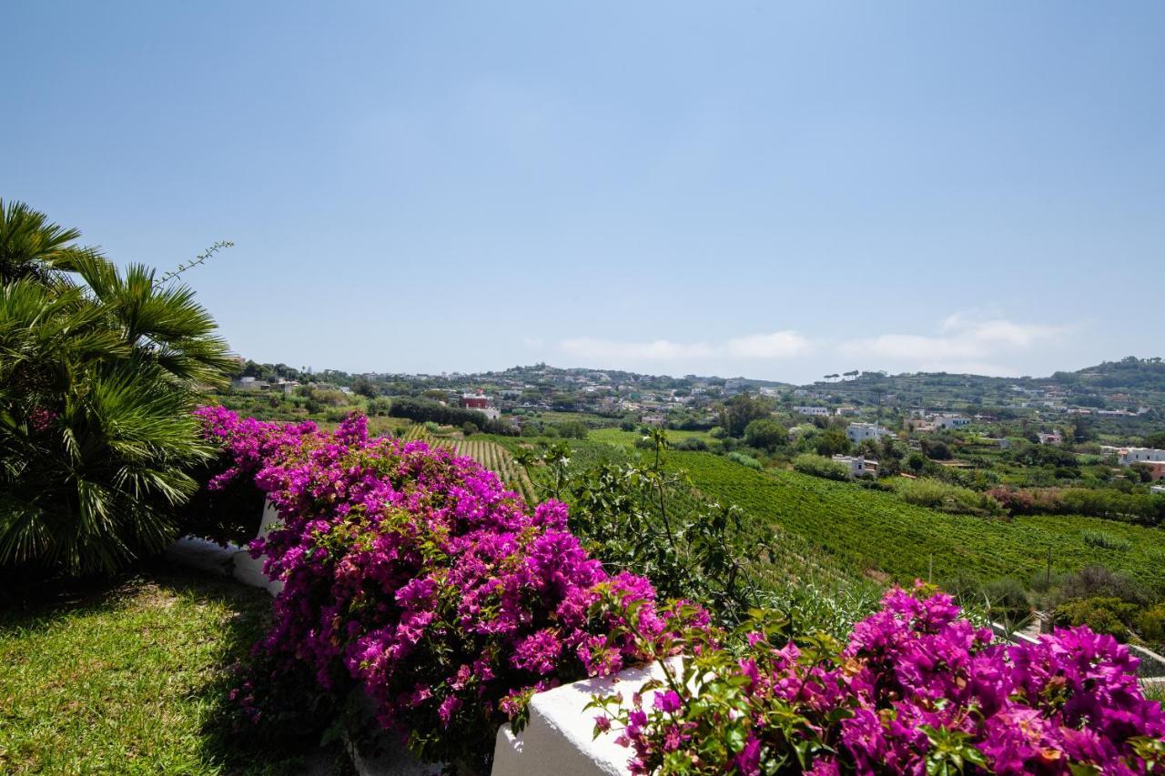 Villetta Con Giardino Esclusivo Di 1000 Mq, Piscina, Tennis, Calcio, Bocce Forio di Ischia Eksteriør bilde