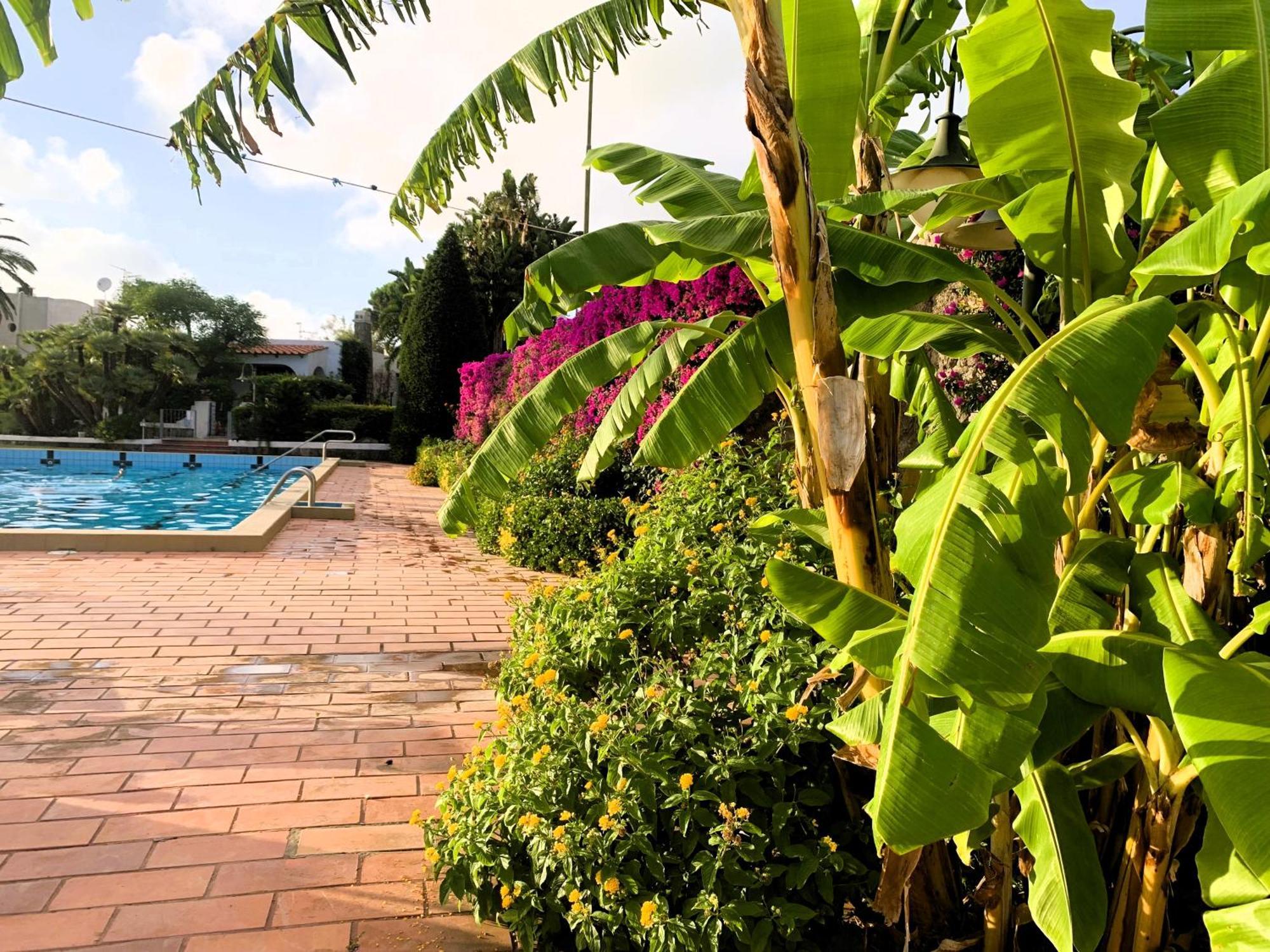 Villetta Con Giardino Esclusivo Di 1000 Mq, Piscina, Tennis, Calcio, Bocce Forio di Ischia Eksteriør bilde