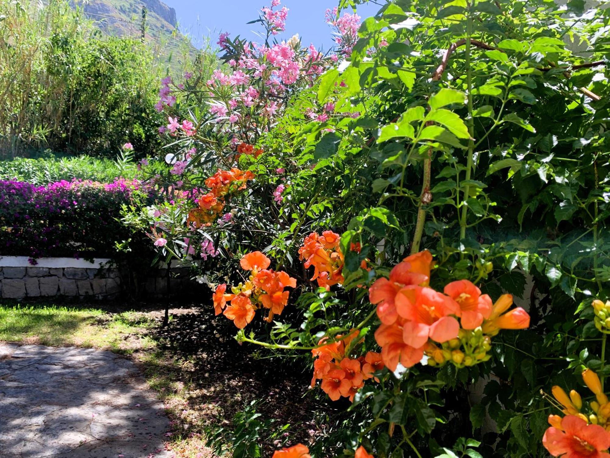 Villetta Con Giardino Esclusivo Di 1000 Mq, Piscina, Tennis, Calcio, Bocce Forio di Ischia Eksteriør bilde