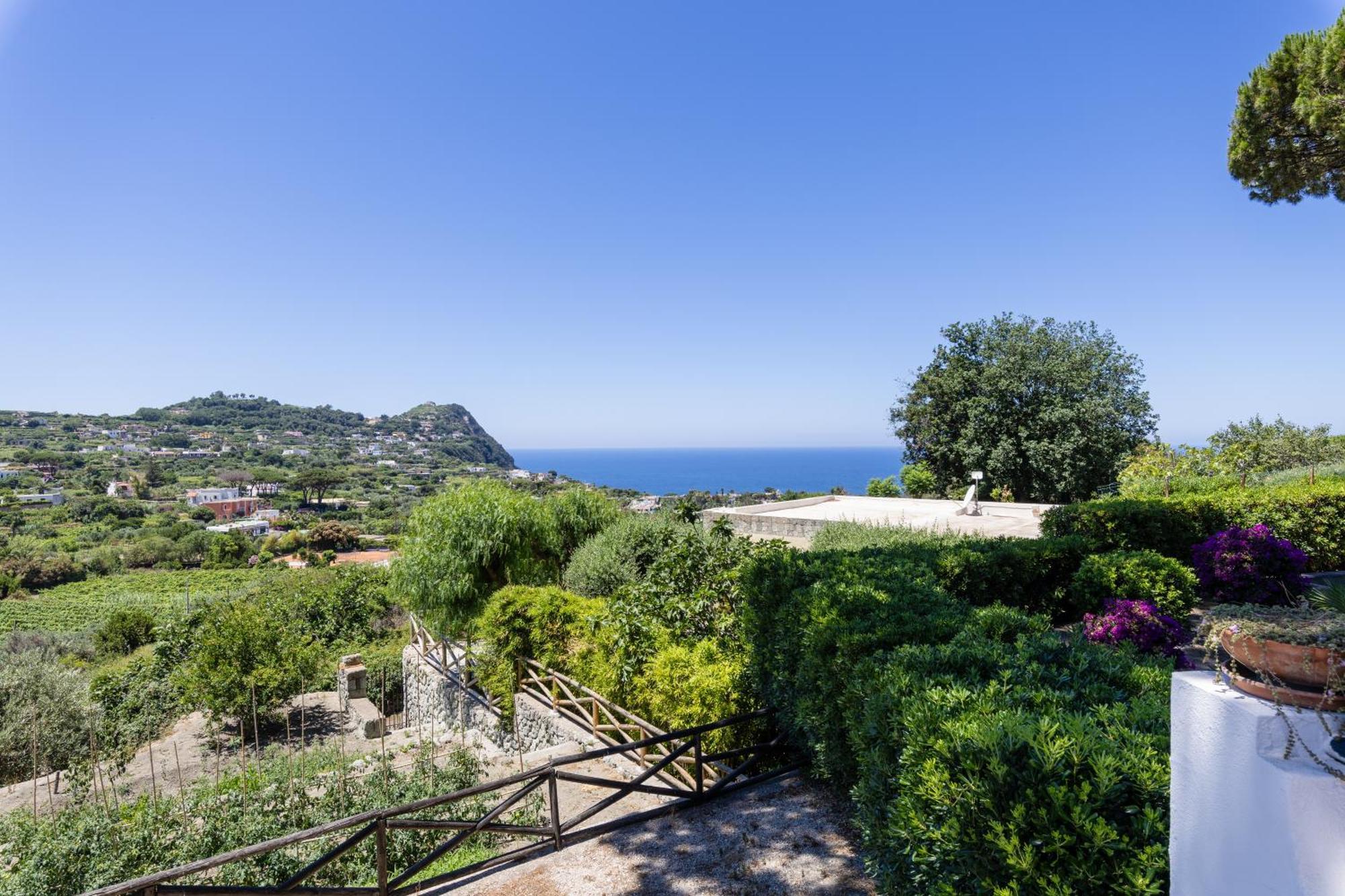 Villetta Con Giardino Esclusivo Di 1000 Mq, Piscina, Tennis, Calcio, Bocce Forio di Ischia Eksteriør bilde