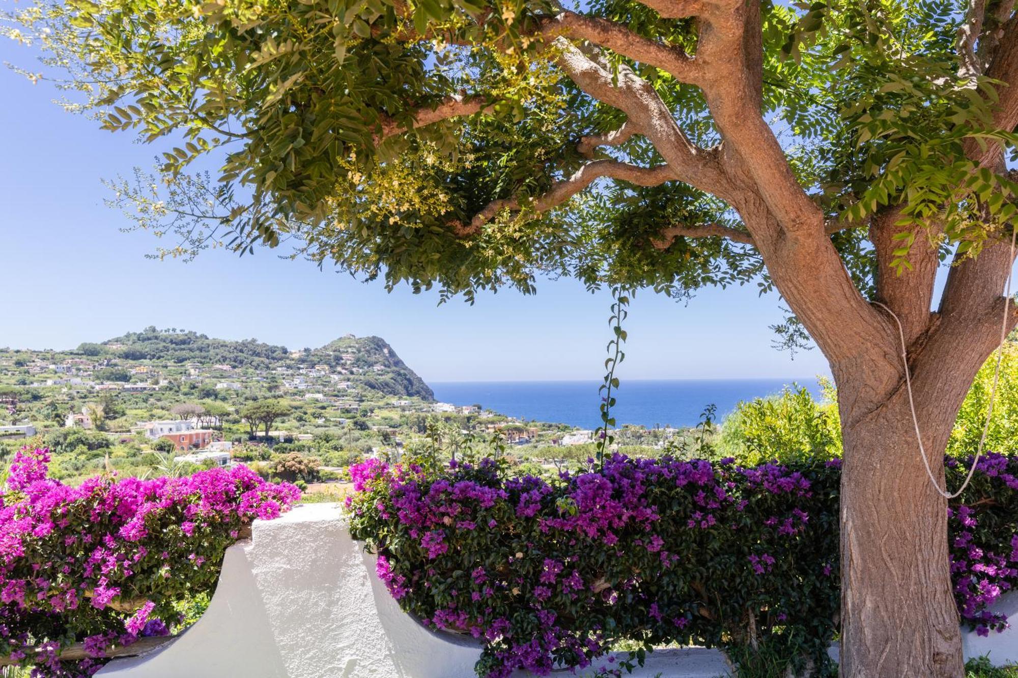 Villetta Con Giardino Esclusivo Di 1000 Mq, Piscina, Tennis, Calcio, Bocce Forio di Ischia Eksteriør bilde