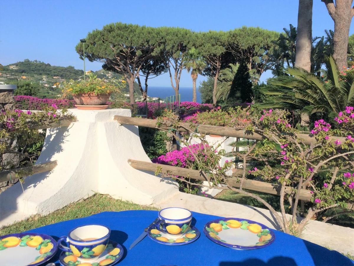 Villetta Con Giardino Esclusivo Di 1000 Mq, Piscina, Tennis, Calcio, Bocce Forio di Ischia Eksteriør bilde
